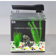 Acuario, tanque de pescado con la planta acuática, accesorios del acuario